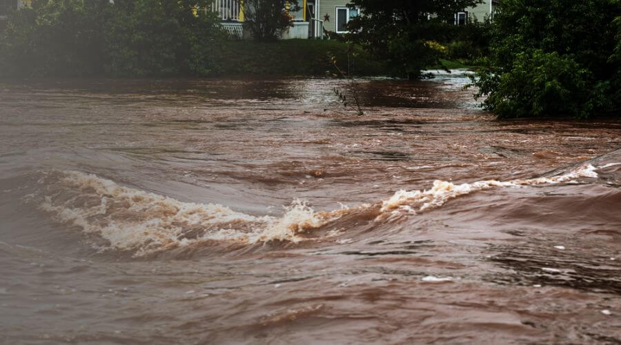 Why choose water damage restoration service for commercial water damage restoration in Shawnee